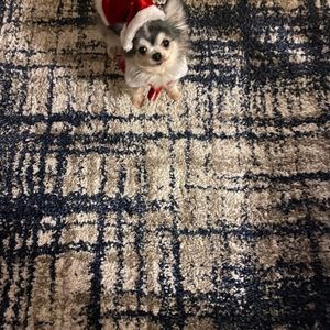 Meet your Posher, Jenniffer